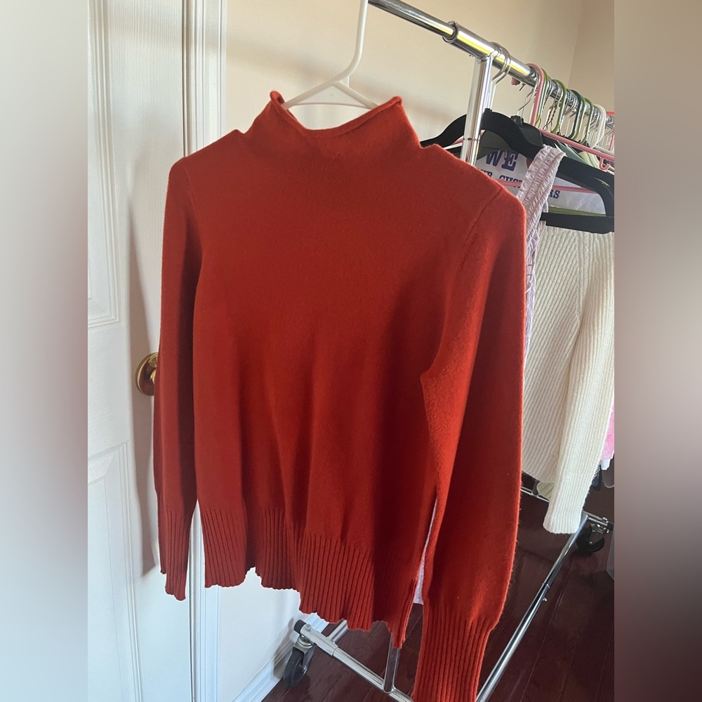 French Connection Rust Turtleneck Sweater